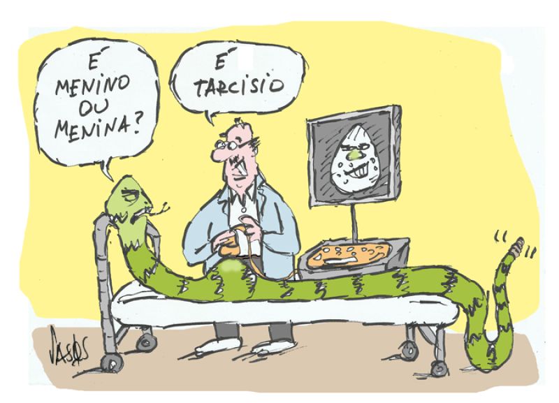 Vasqs