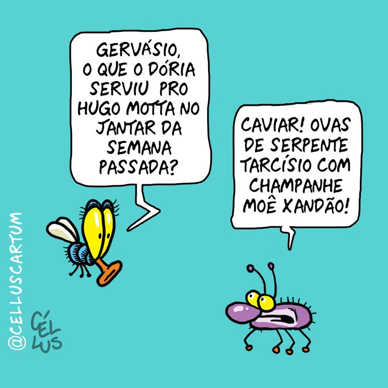 Céllus
